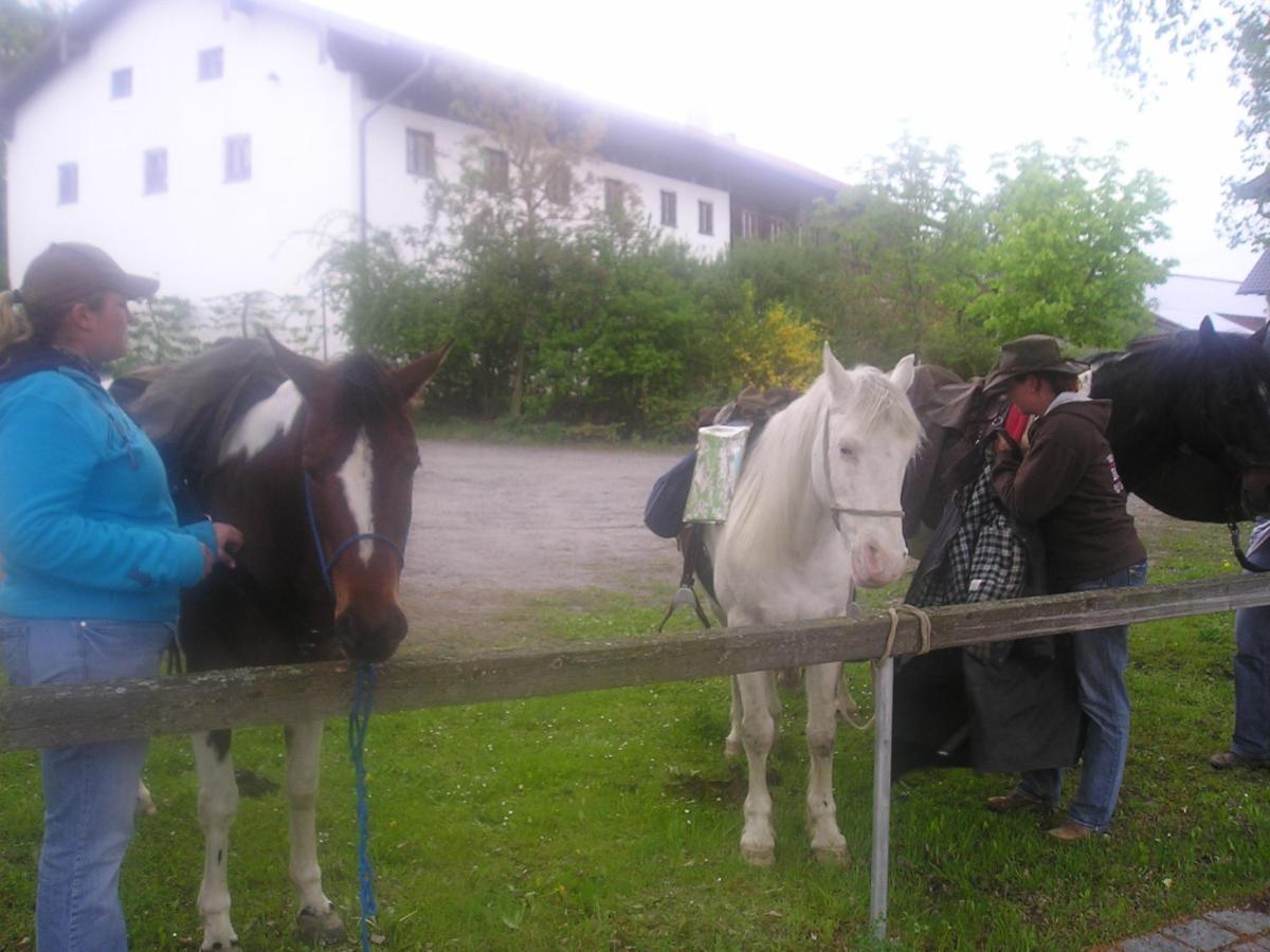 Gasthaus Zum Spaeth Englmannsberg Екстериор снимка